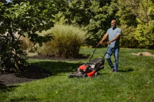 best-lawn-mowers-lead-